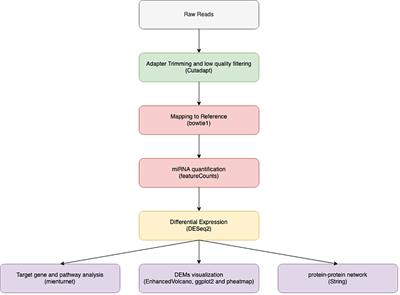 miRNome of Child A hepatocellular carcinoma in Egyptian patients